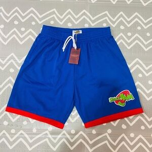 Mitchell And Ness space jam basketball shorts lebron jordan